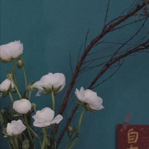 沙特一级婬片A片AA
